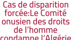 Cas de disparition forcée:Le Comité onusien des droits de l'homme condamne l'Algérie