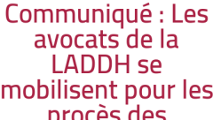 Communiqué : Les avocats de la LADDH se mobilisent pour les procès des chômeurs