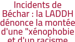 Incidents de Béchar : la LADDH dénonce la montée d'une "xénophobie et d'un racisme insupportables"