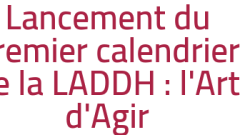 Lancement du premier calendrier de la LADDH : l'Art d'Agir